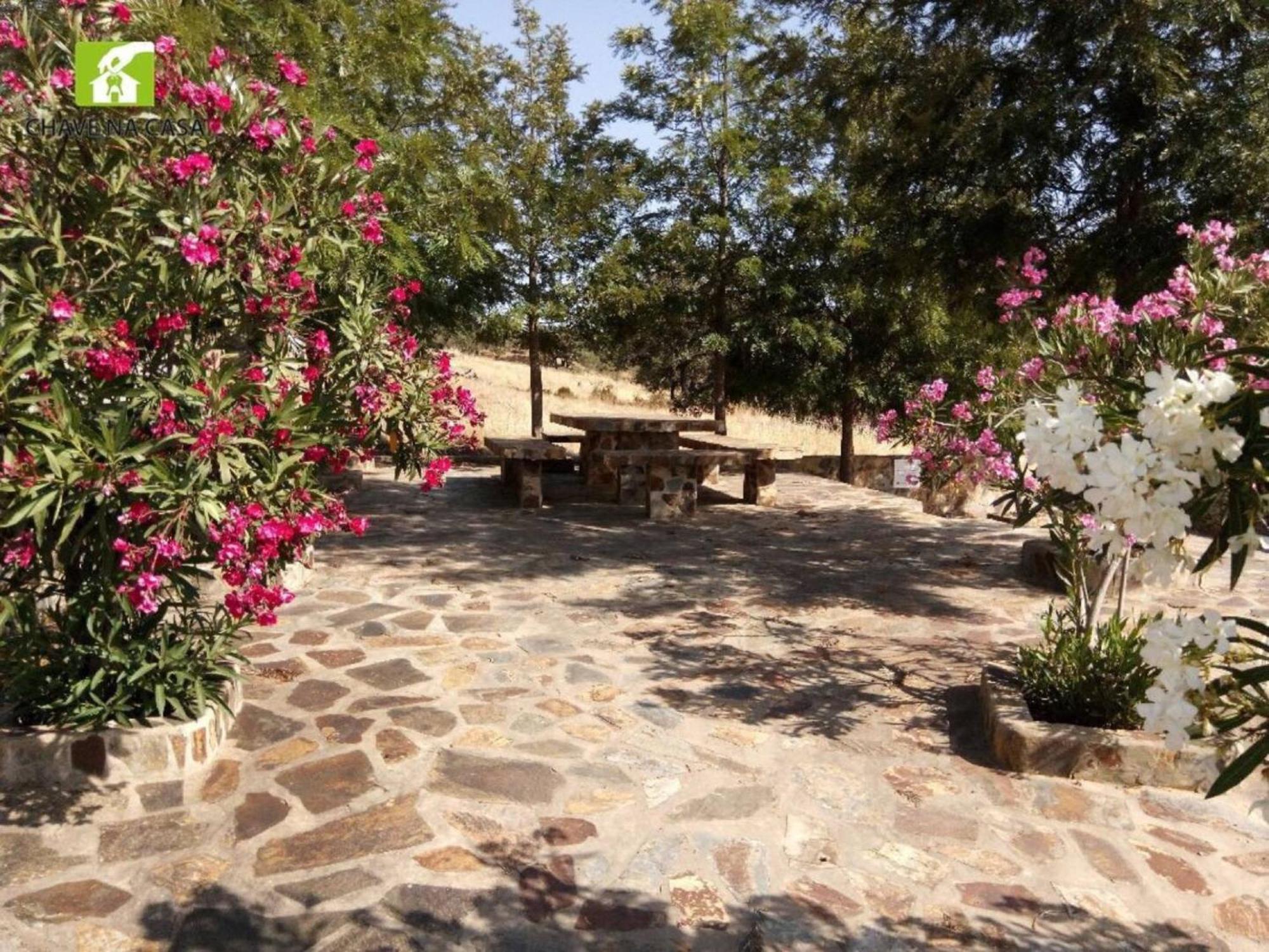 Casa Das Bonecas Farelos de Baixo Екстериор снимка